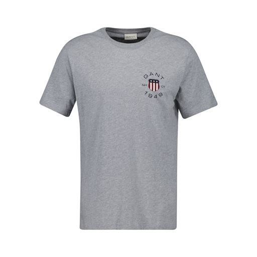 GANT Print T-shirt, Grey Melange, 3XL