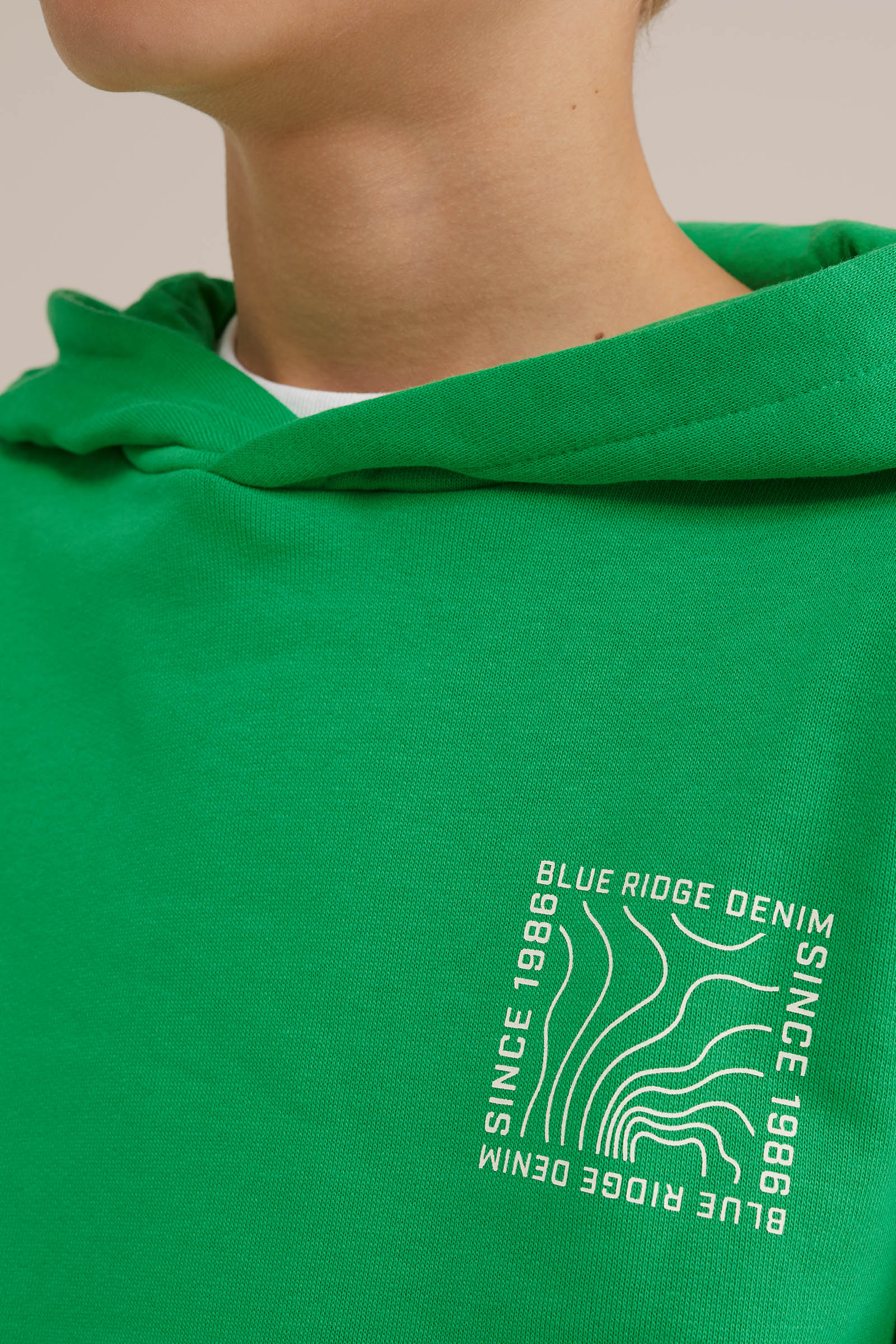 Jongens hoodie met opdruk Blue Ridge Felgroen