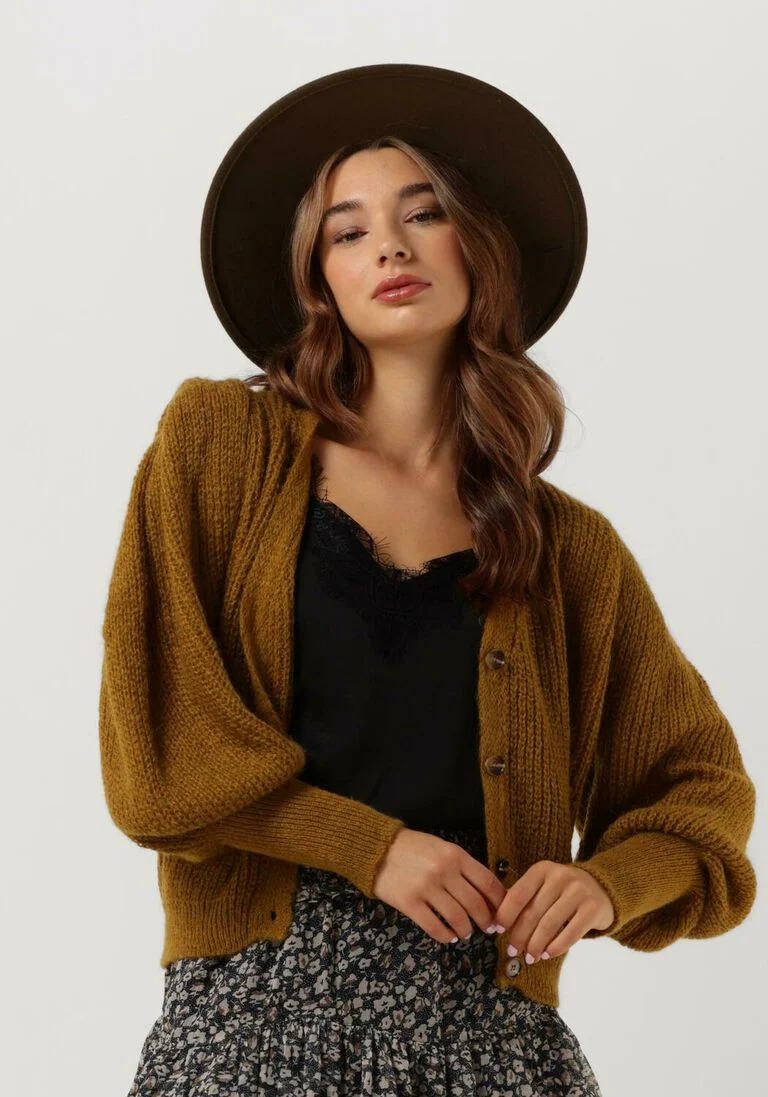 FREEBIRD gele freebird trui lavie cardigan