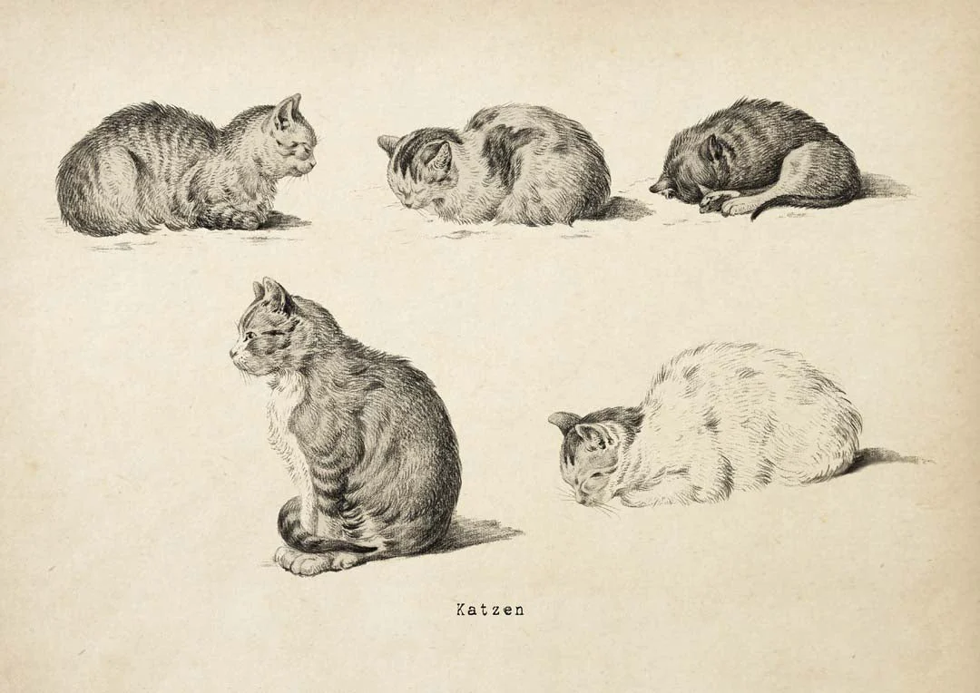 Antike Katzen