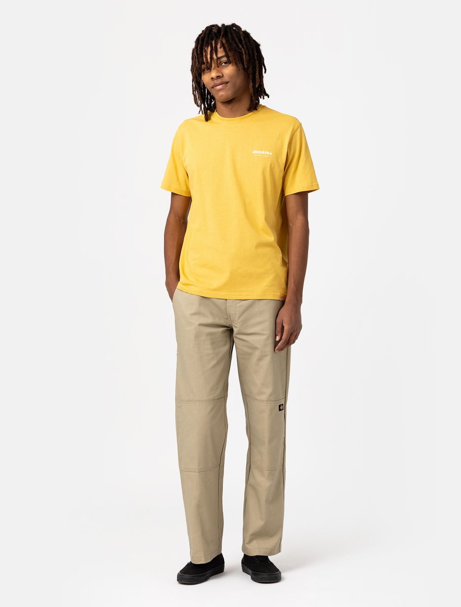 Dickies Valley Grande Double Knee Black