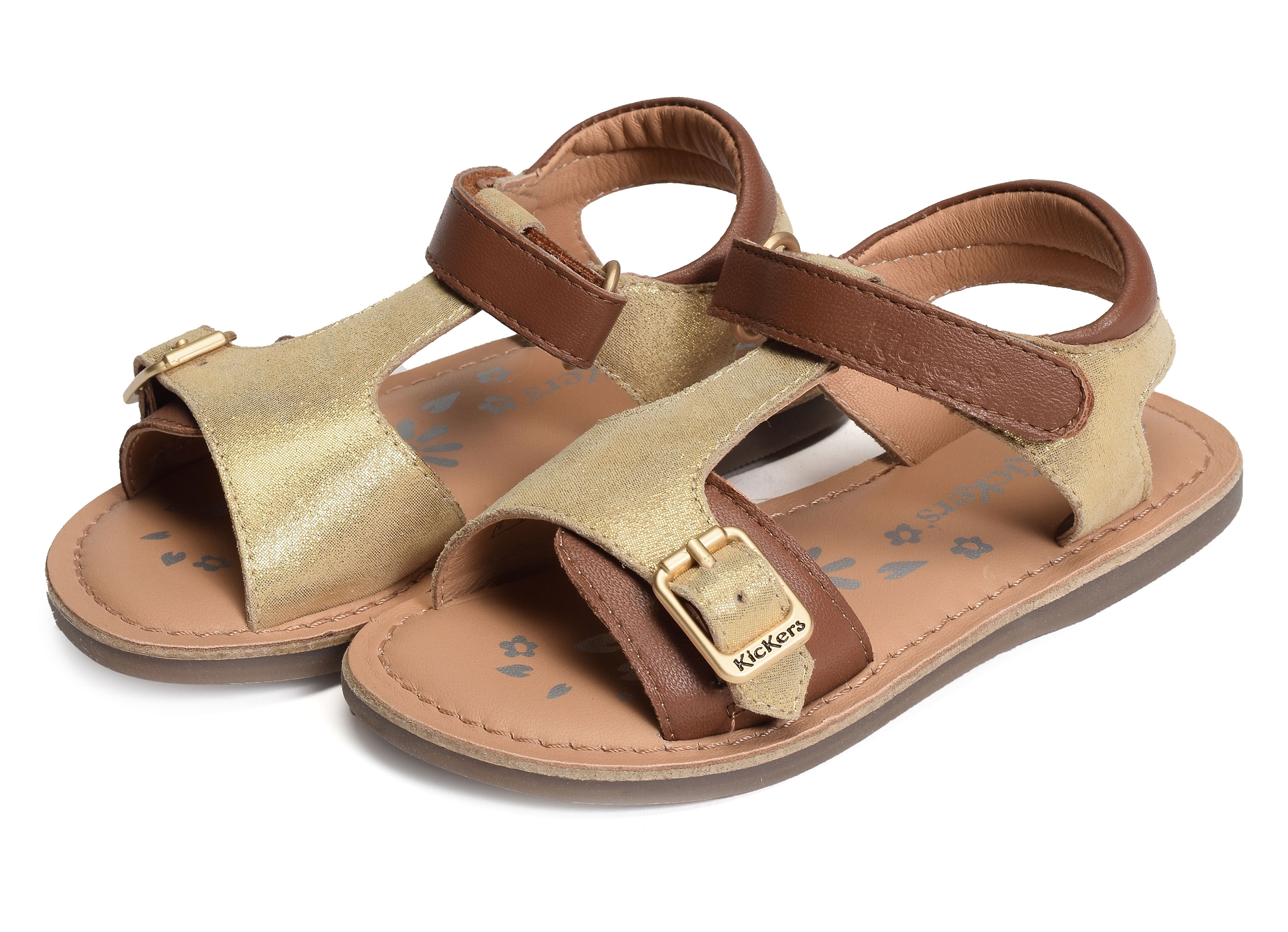 Diazz camel or