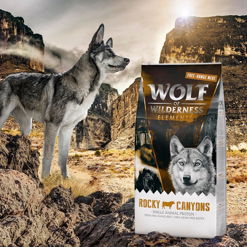 Wolf of Wilderness Rocky Canyons bœuf élevé en liberté - sans céréales