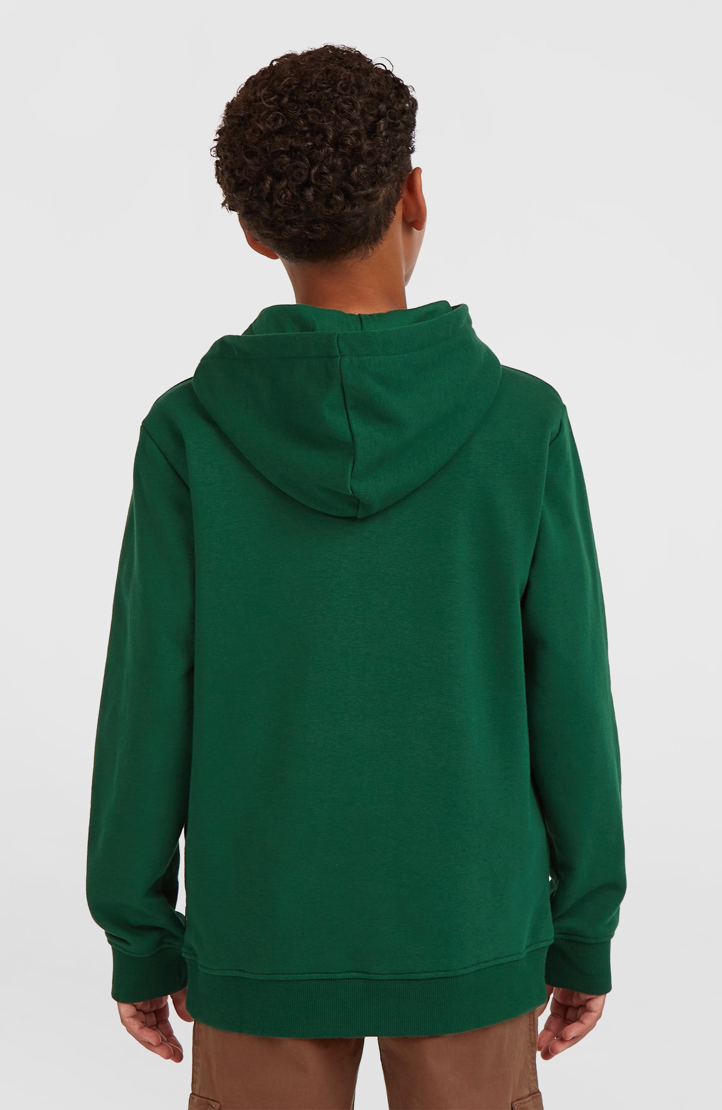 Essentials hoodie