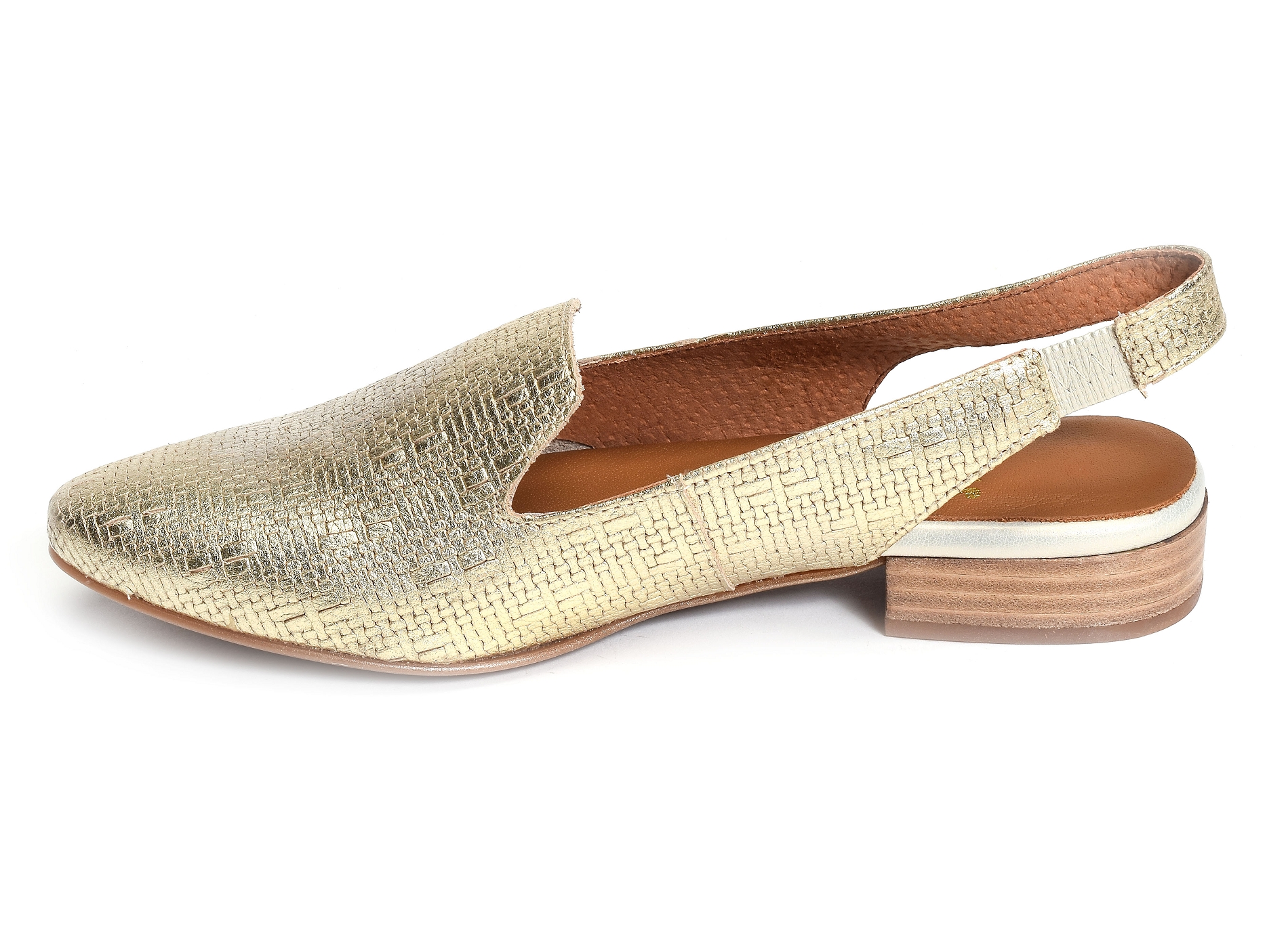 Molas champagne