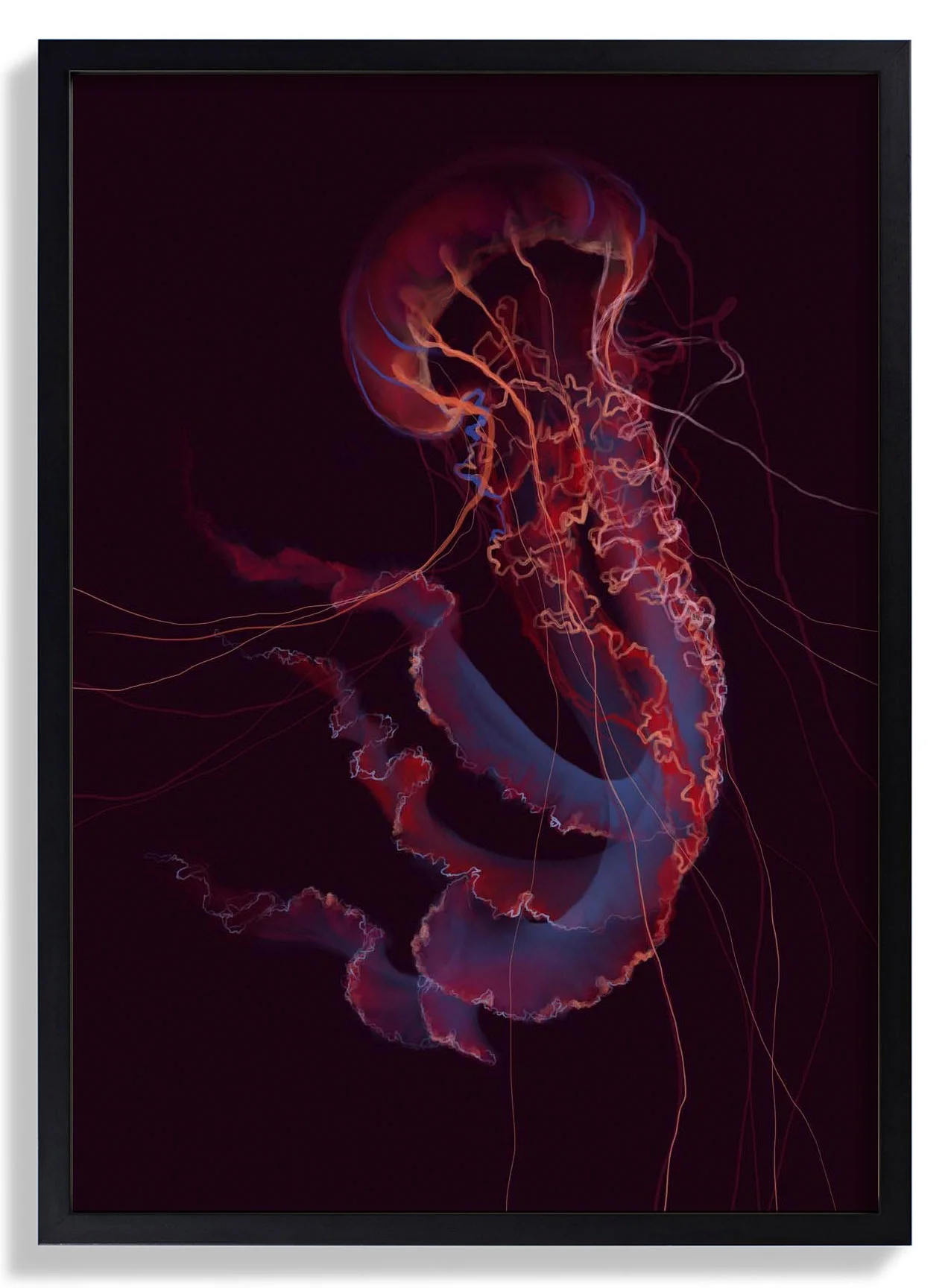 Red Phenomena Jellyfish von Julia Charlott