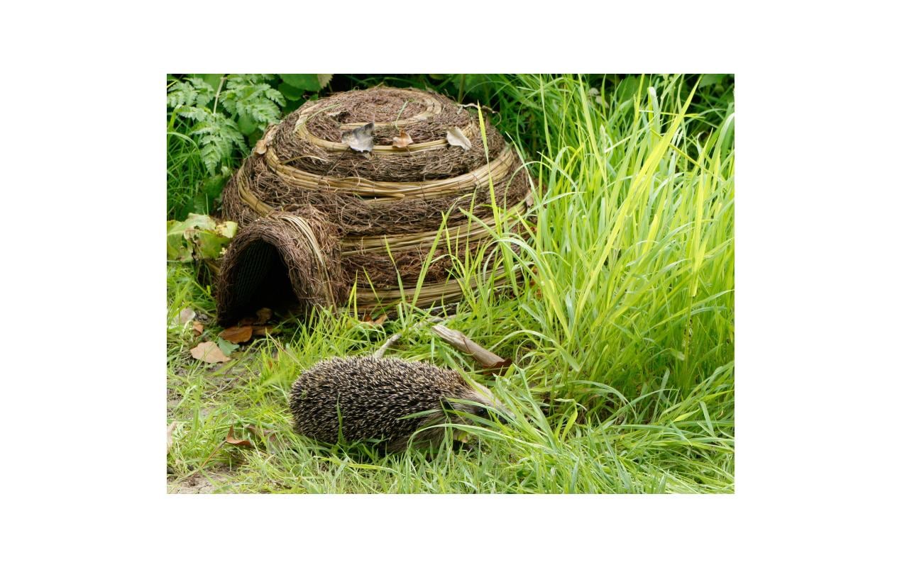 Igelhaus Iglu, 59 x 53 x 22 cmHäuschen als Unterschlupf für Igel