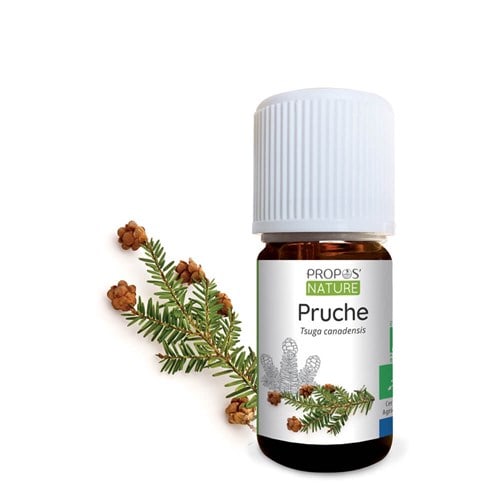 Pruche bio - huile essentielle contenanc