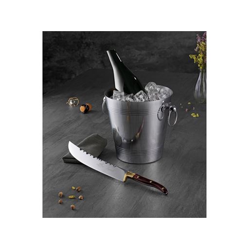 Lion Sabatier Champagnesabel