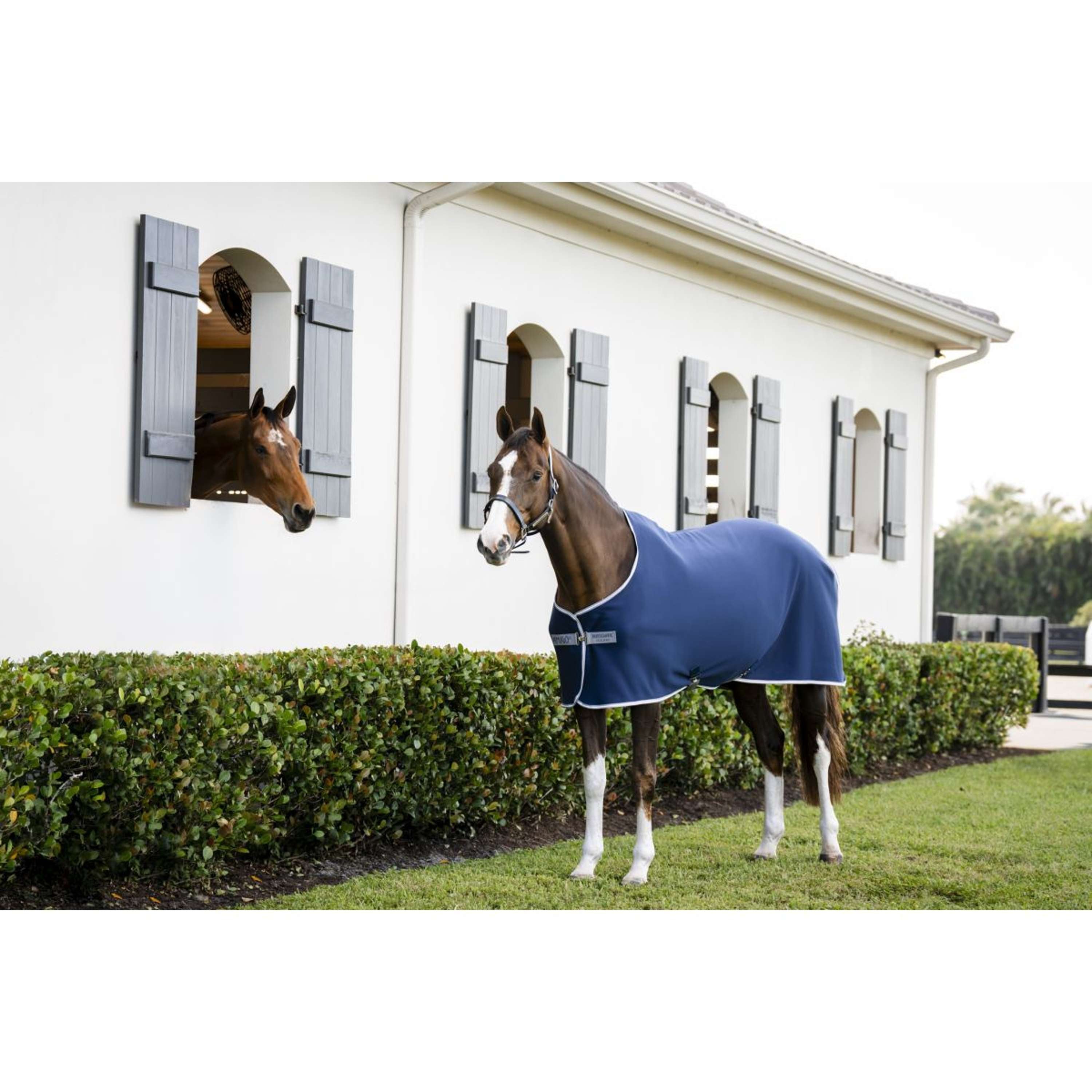 Amigo Jersey Cooler Pony Navy/Titanium Grey/Silver