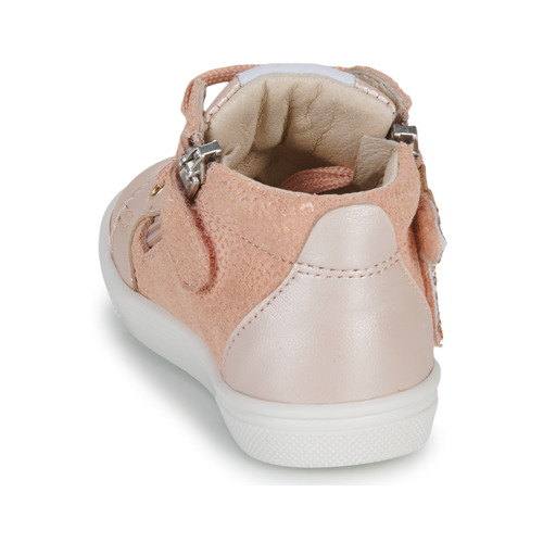 GBB - VALA - Rose
