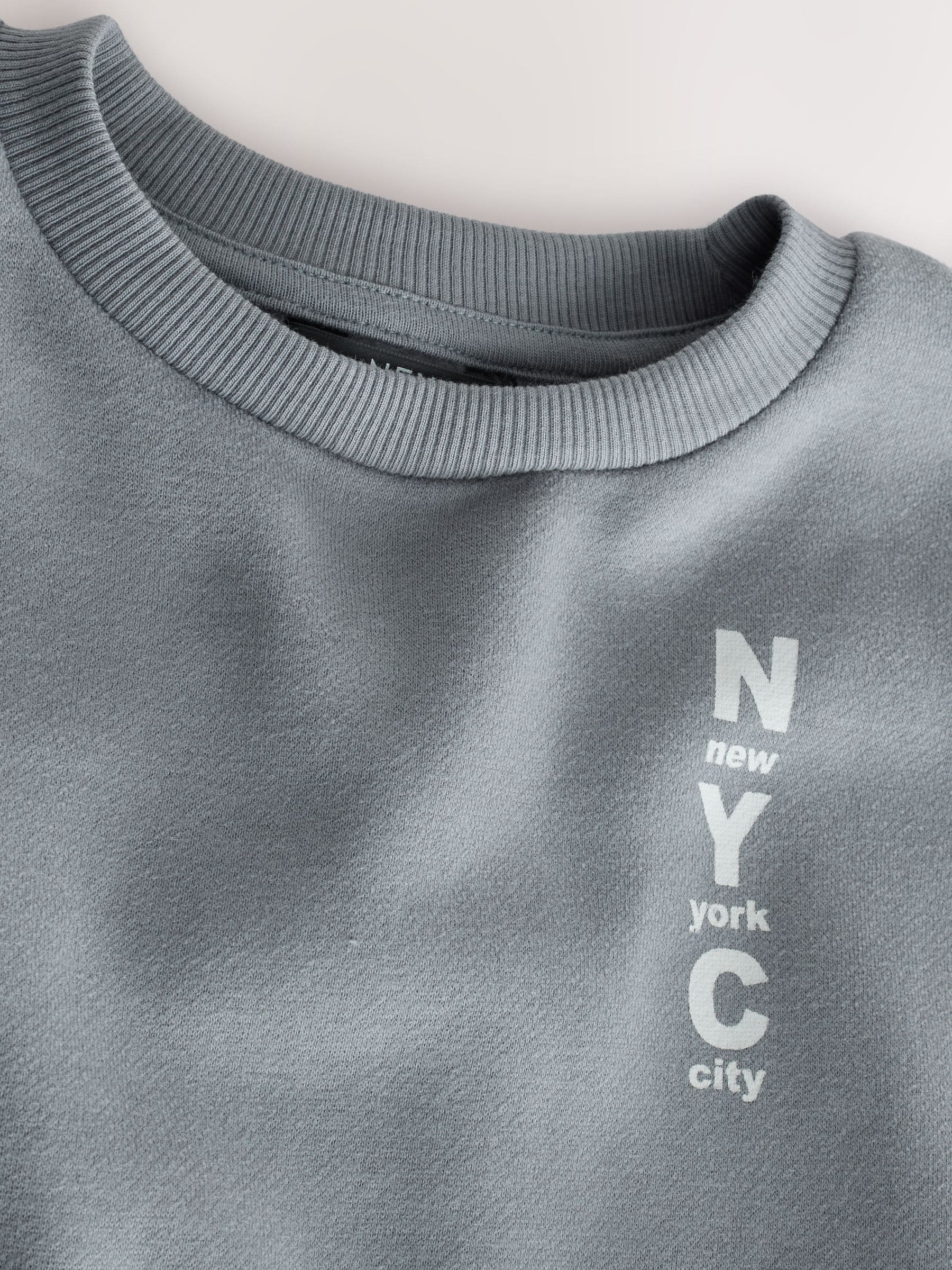 Grijs - Jersey sweatshirt met ronde hals en print op de rug (3mnd -7jr)