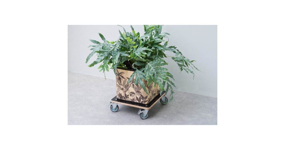 NaturePlanttrolley vierkant rolplank  (Zwart)