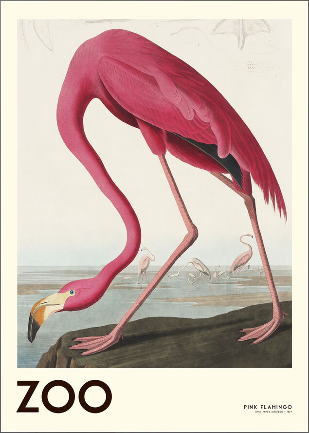Poster & Frame The Zoo Collection Pink Flamingo Edt. 001 Flerfarvet