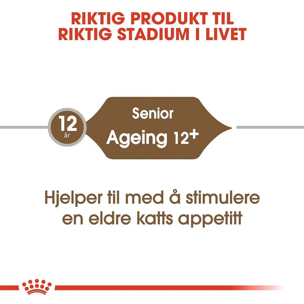 Royal Canin Royal Canin Ageing 12 4 kg
