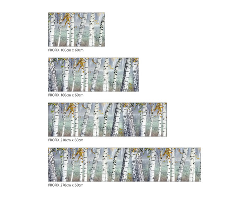 Keukenachterwand mySpotti Profix berkenbos 100 x 60 cm PX-10060-14-HB