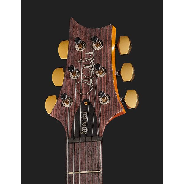PRS Special Semi-Hollow 10 Top ER