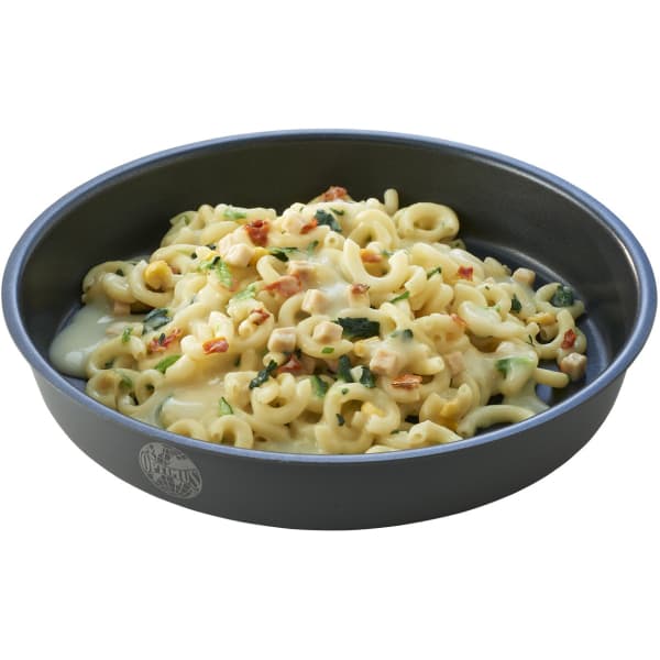 Repas lyophilisé TREK'N EAT POULET CRÈME PÂTES EPINARDS 150G