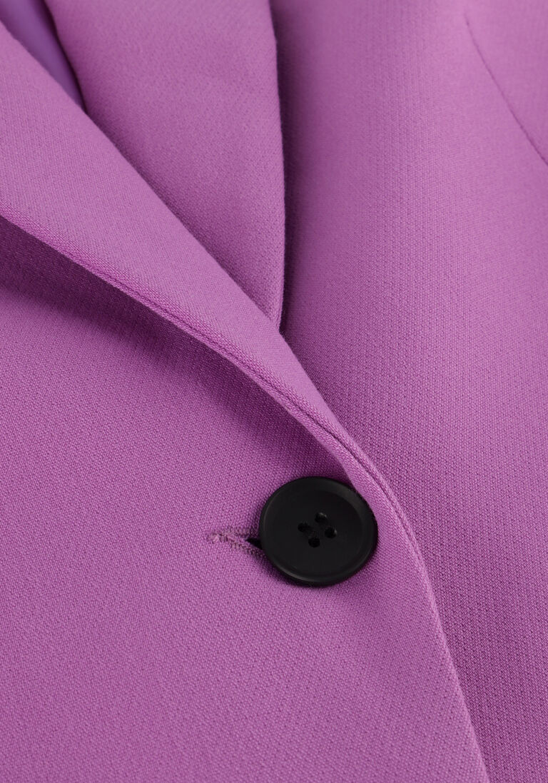 JANSEN AMSTERDAM paarse jansen amsterdam blazer wq238 woven blazer with long sleeve