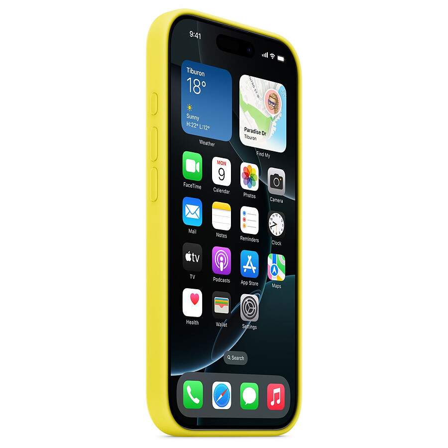 Apple Coque en silicone avec MagSafe Carambole - iPhone 16 Pro
