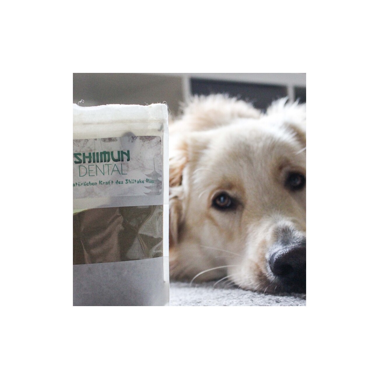Marsapet Bellfor Shiimun Dental Pulver - 120g