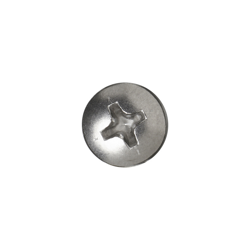 Skruer 10-pk 4,8x32 mm