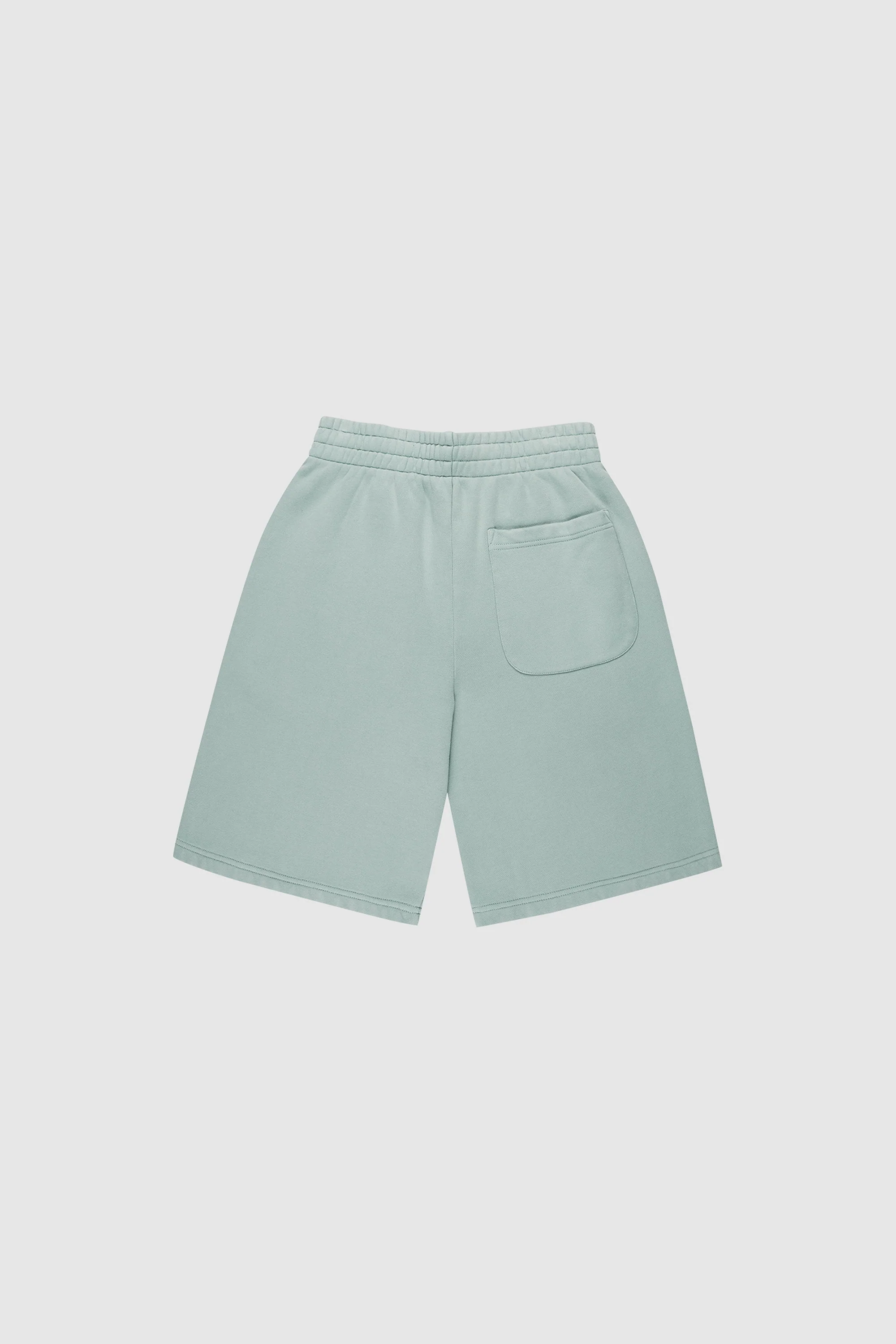 RAWS Shorts