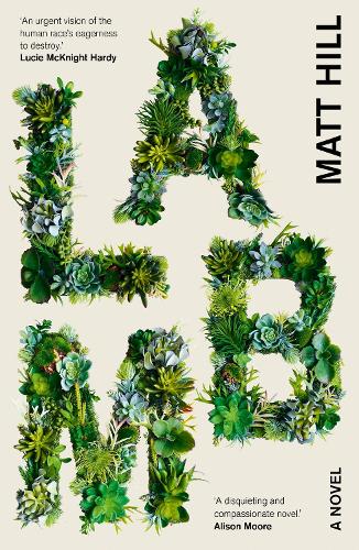 Lamb (Paperback)