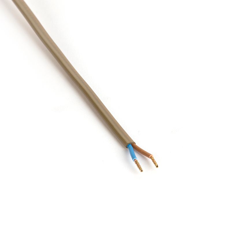 Aansluitkabel 80-120cm met schakelaar en stekker goud