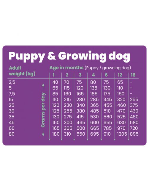 Teds Puppy & Growing Insect Hypoallergeen Insecten - Hondenvoer