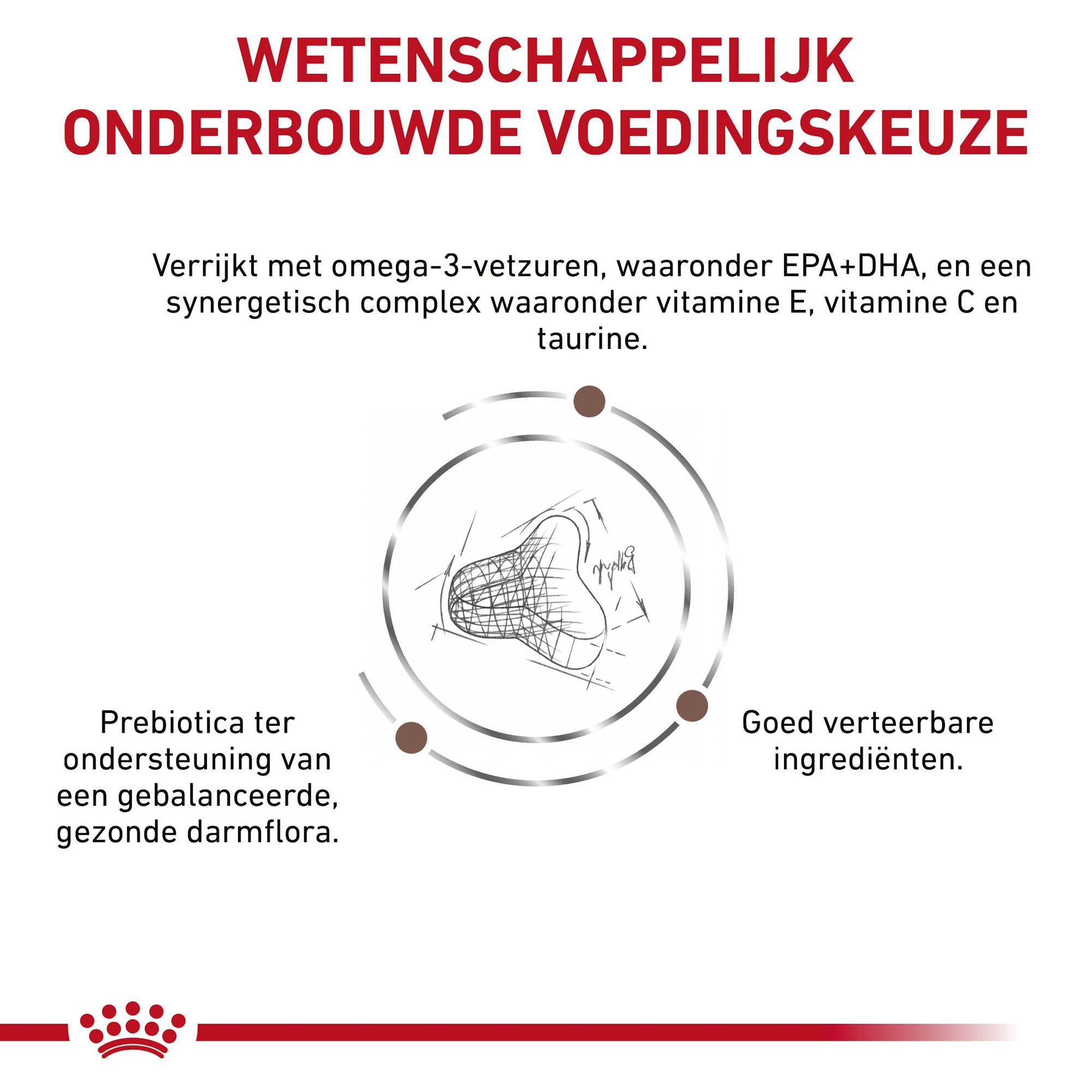 Royal Canin Gastrointestinal Fibre Response Kat