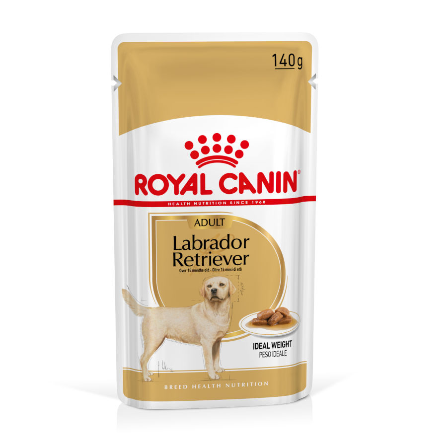Sachês Royal Canin para Labrador