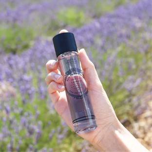 Panier des Sens Lavender Oil Eau de Toilette 50ML