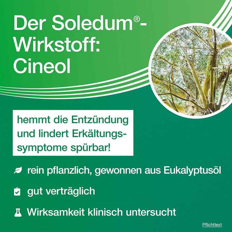 Soledum Kapseln , 50 St