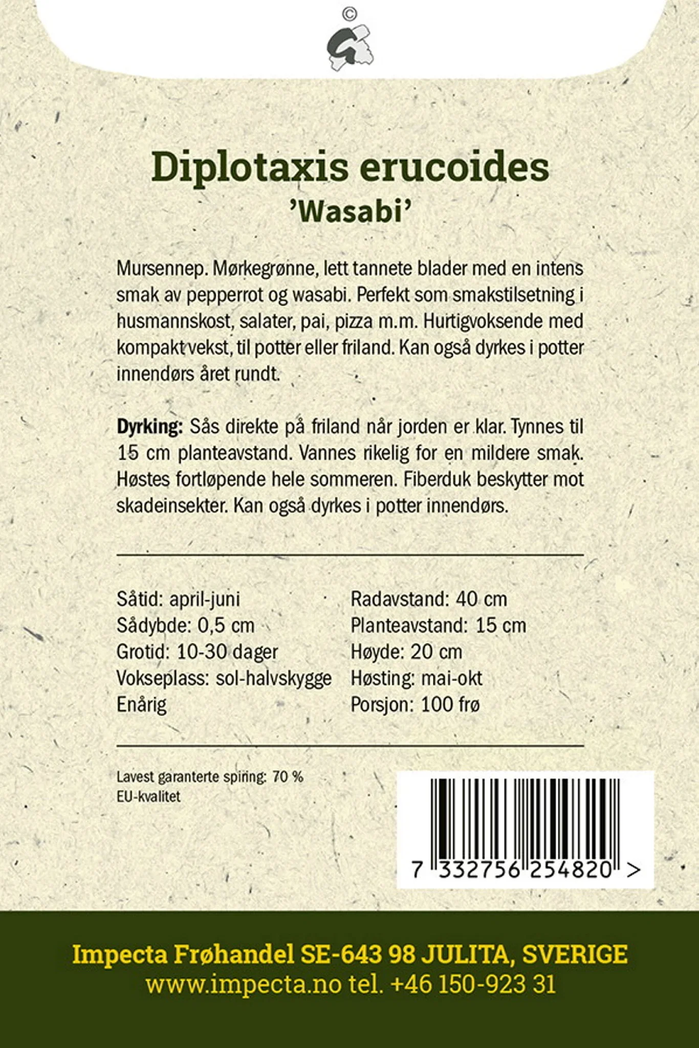 Diplotaxis erucoides 'Wasabi' Wasabiruccola 'Wasabi'