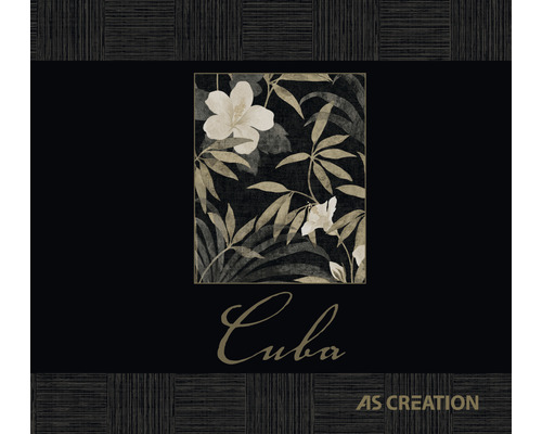 Achtergrondboek Cuba
