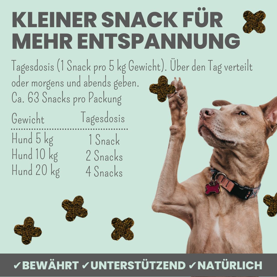 noms+ Wohlfühlsnacks für Hunde bei Stress, Angst, Unruhe & Hyperaktivität