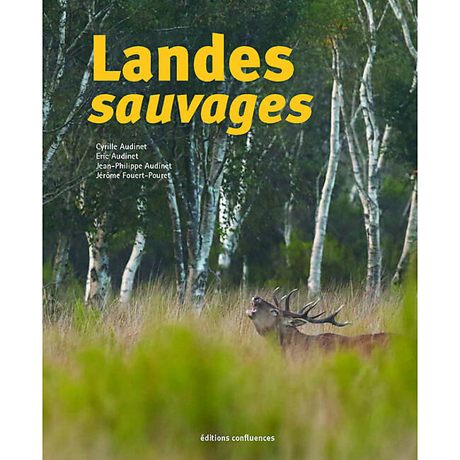 CAIRN DIFFUSION - LANDES SAUVAGES