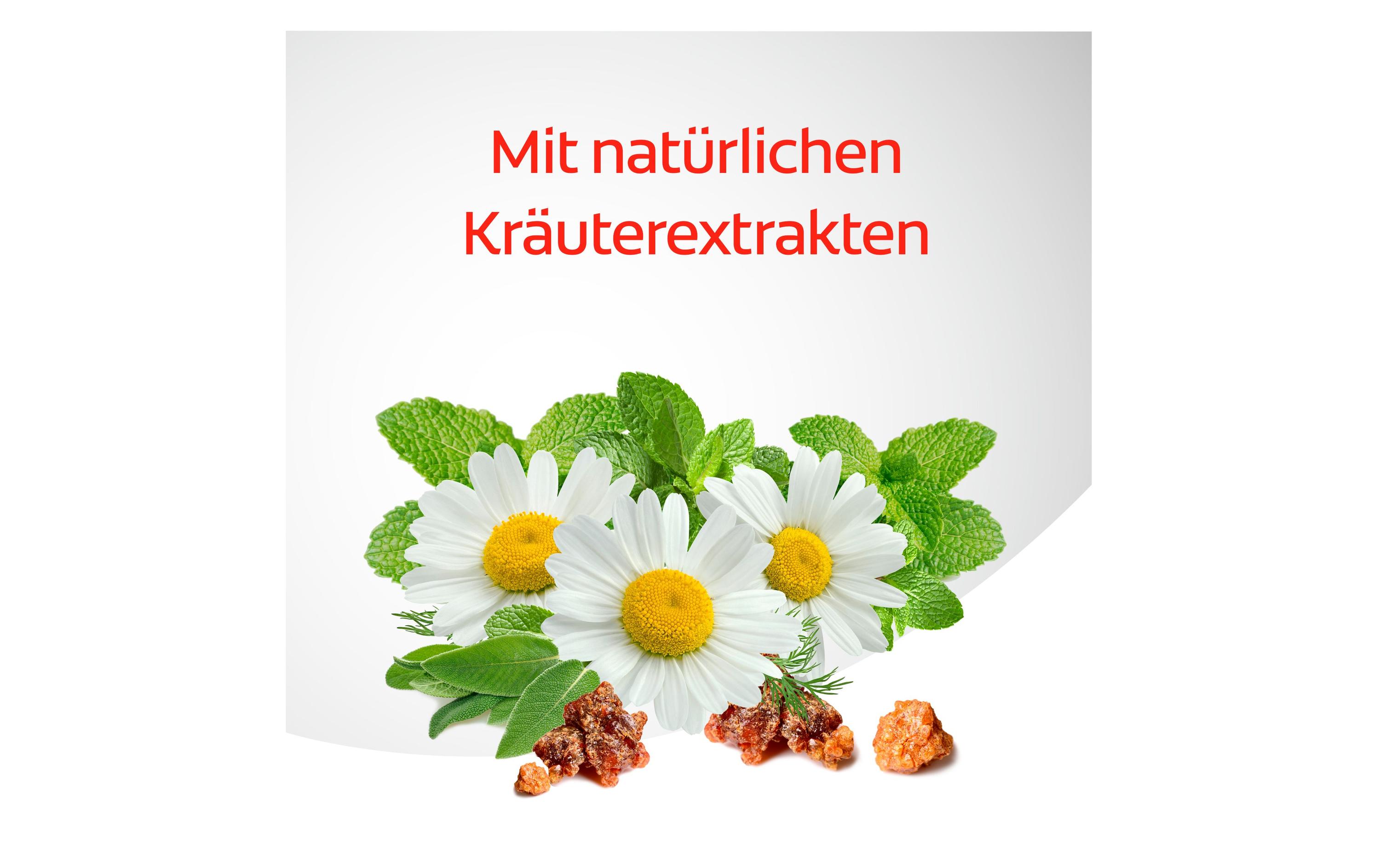 Zahnpasta Dentagard Original 100 mlZahncrème mit Naturkräuterextrakten