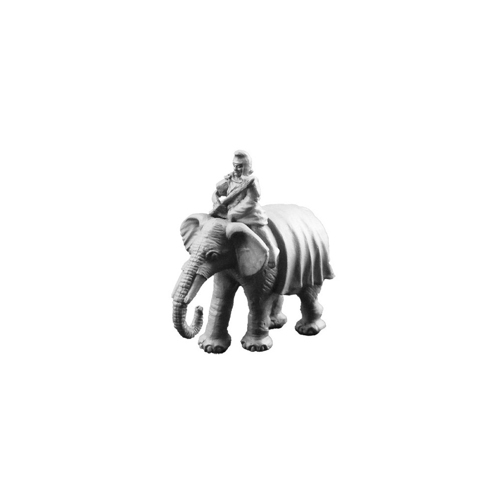 Elephant Carthaginois B