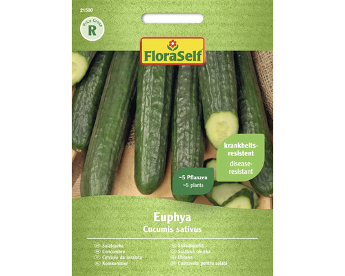 Komkommer Euphya FloraSelf F1 Hybride Groentezaden