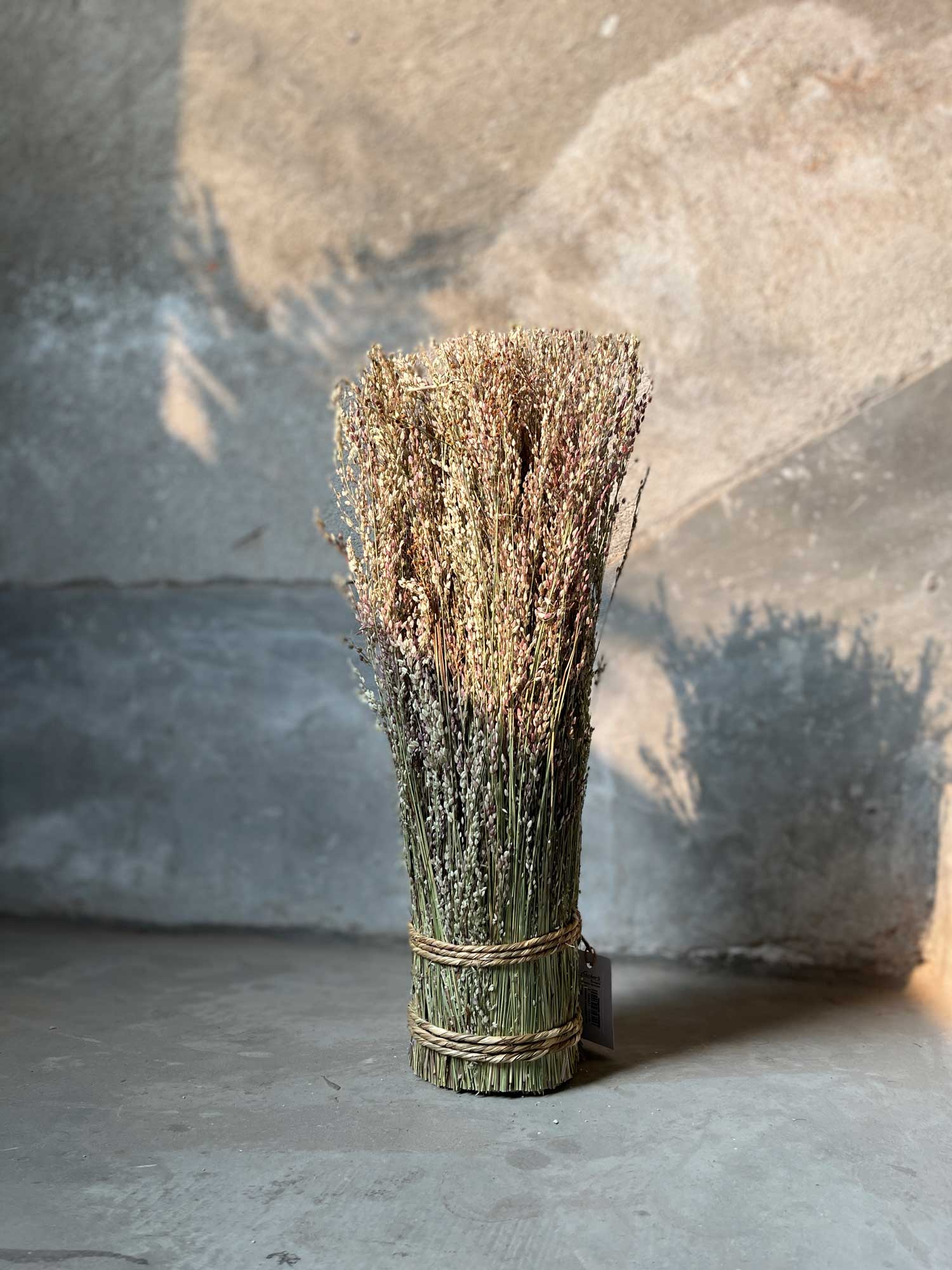 Chinesisches Liebesgras-Garbe, H 40 cm, Ø 9 cm von fischer's lagerhaus