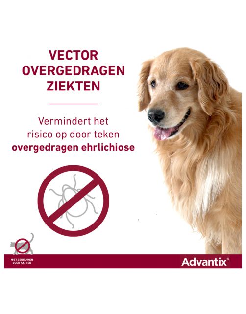 Advantix Spot On 40 0.4 ml - Anti vlooien en tekenmiddel