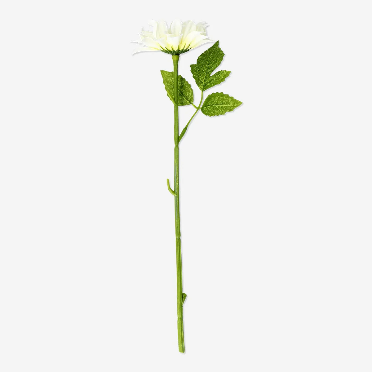 Dekorativ hvid blomst