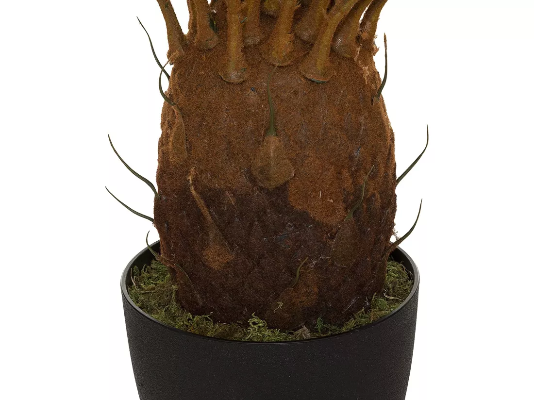 Plant d'ananas l.115 x d.115 x h 93, vert