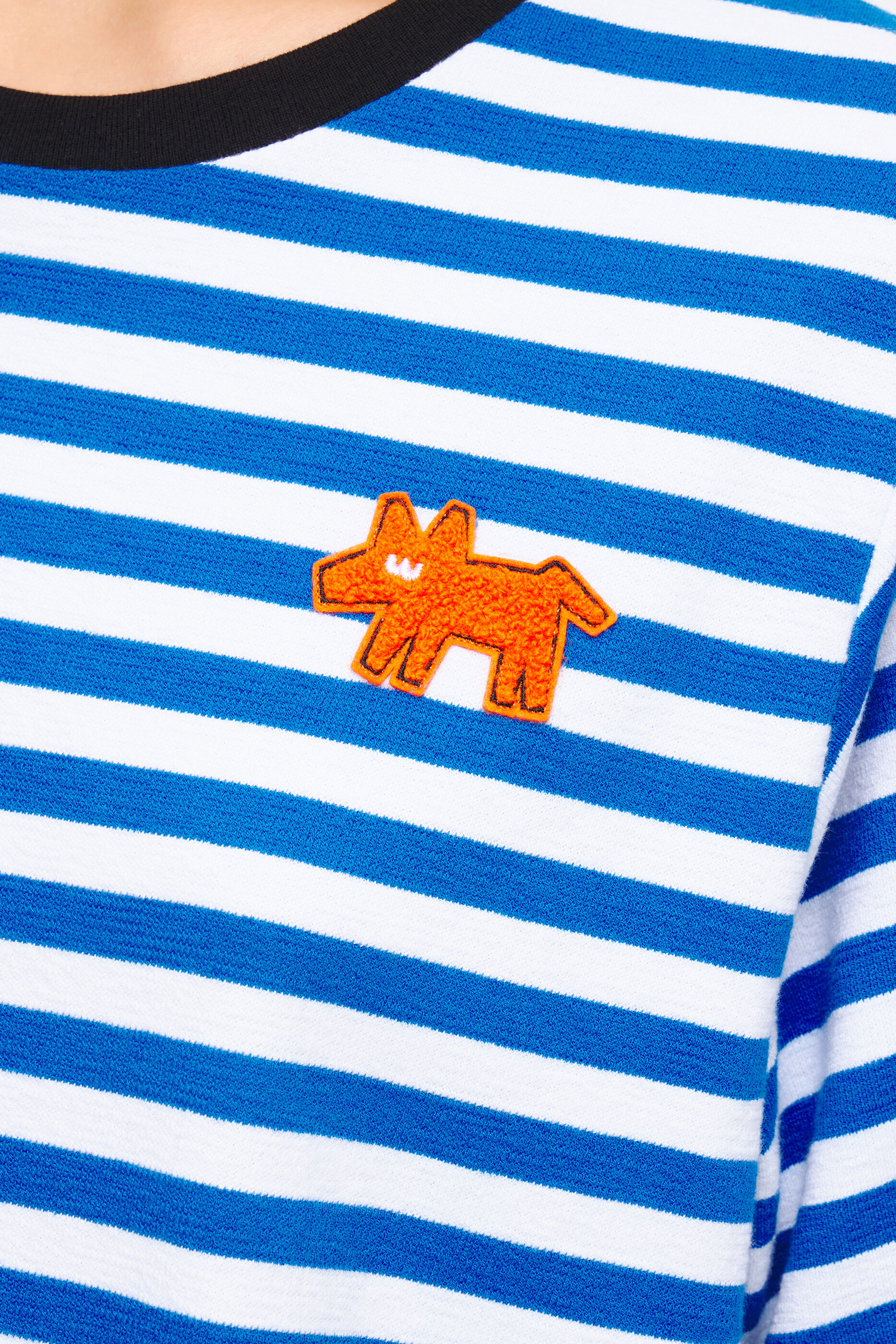 camiseta listrada azul para cachorro
