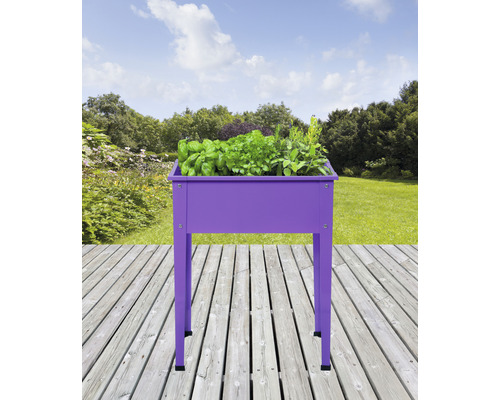 Verhoogd tuinbed op palen, maat 1, 60 x 30 x 80 cm, paars