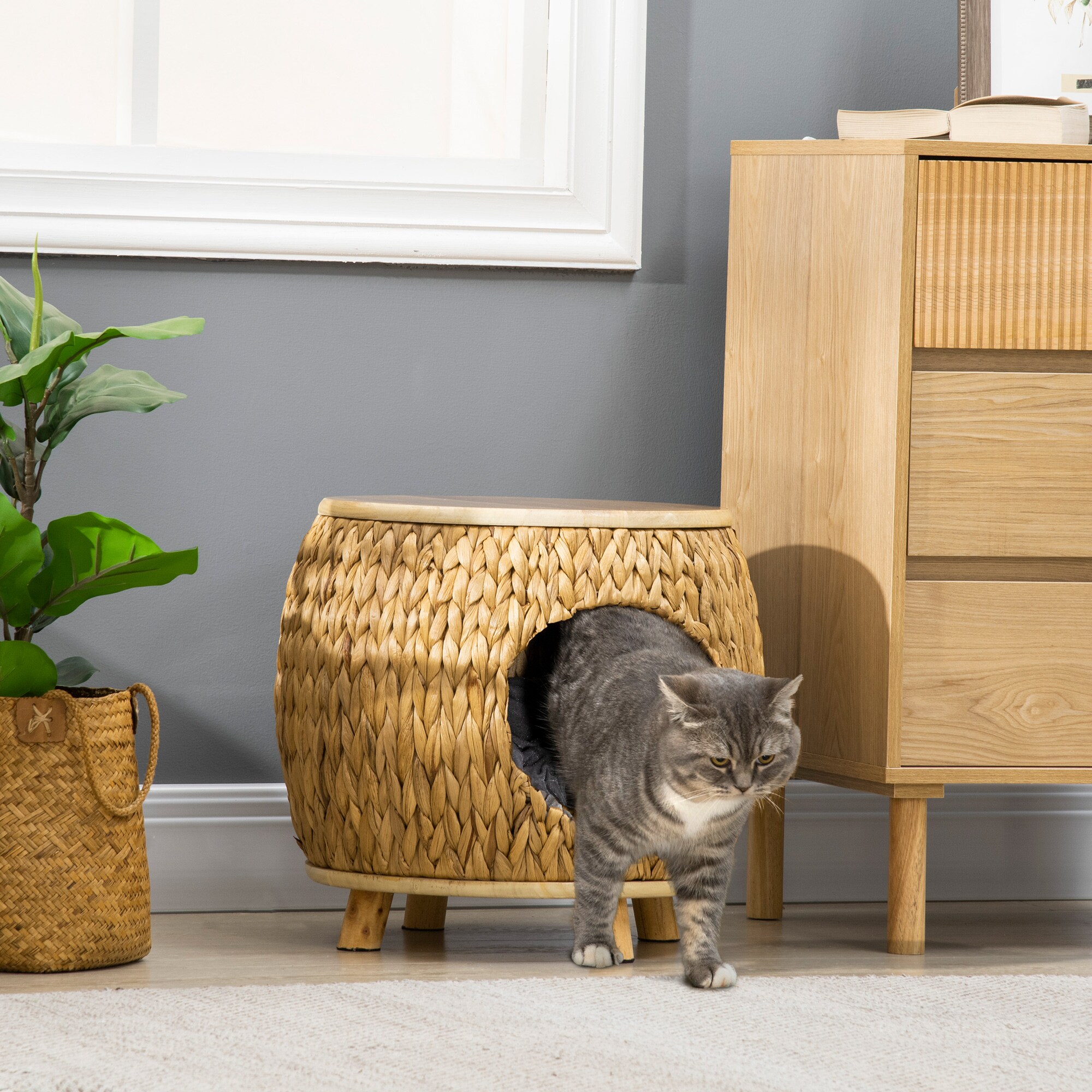 PawHut Rattan Katzenhaus mit Kissen natur 44L x 43B x 42H cm