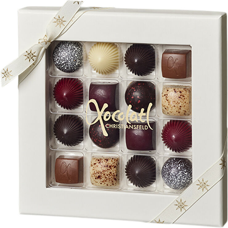 Xocolatl CHRISTIANSFELDER STAR 16