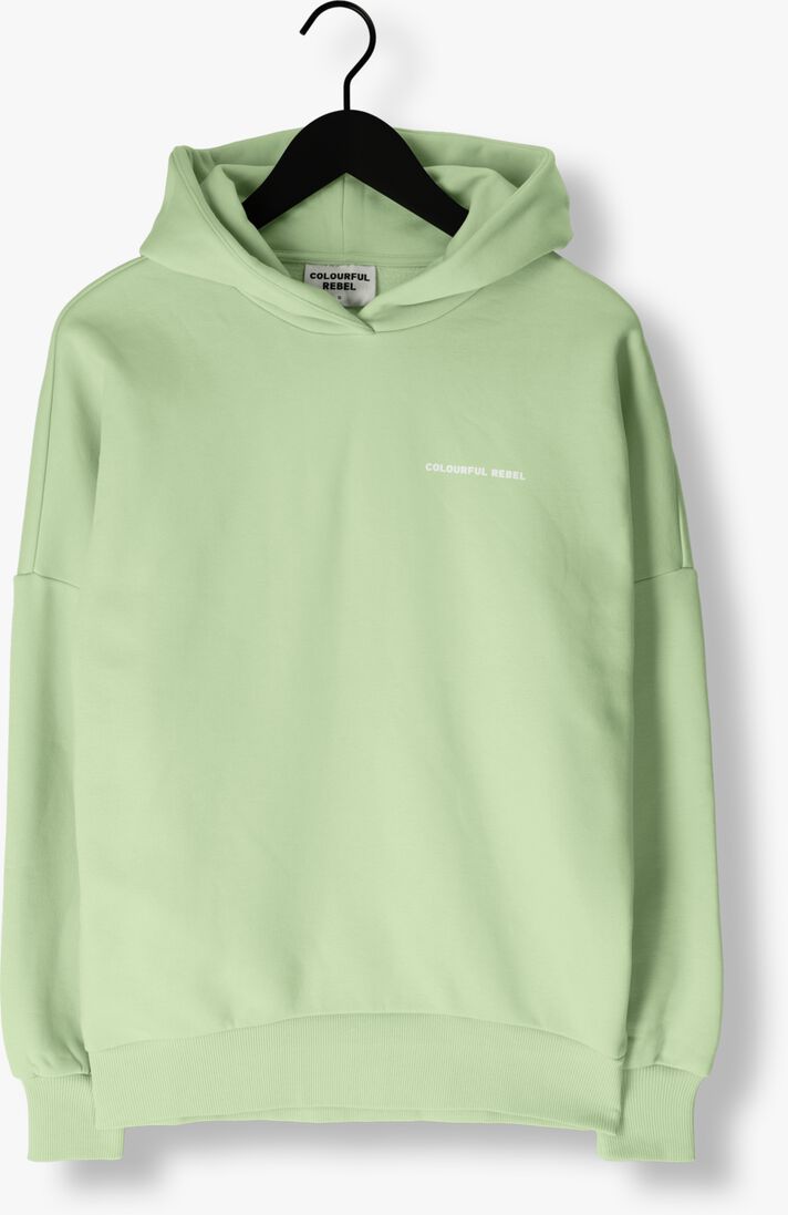 COLOURFUL REBEL mint colourful rebel trui cr back logo dropped shoulder hoodie